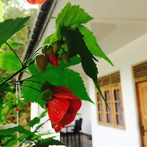  Penzion View Guest Šrí Lanka